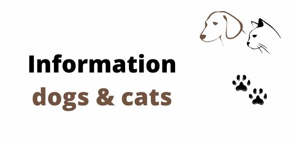 Visuel chiens chats (600 × 300 px) FB -EN