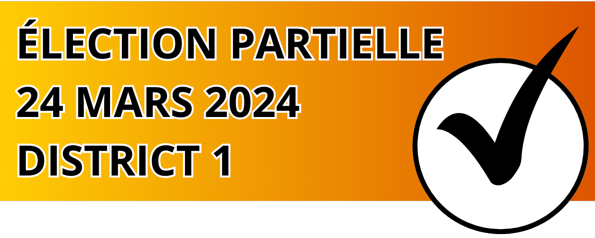 election-partielle-2024-FR-1200x480