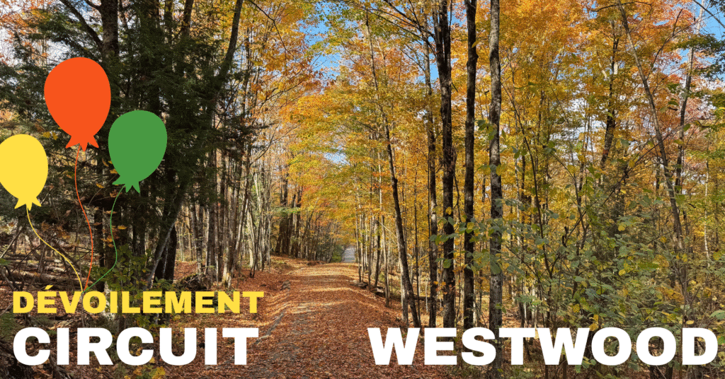 Devoilement-Westwood