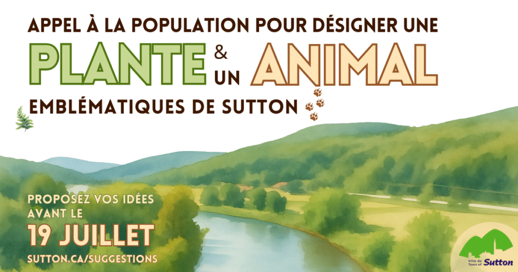 Visuel_Nouvelle_FR_VF2