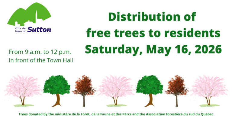 Distribution arbres 2026 ANGLAIS