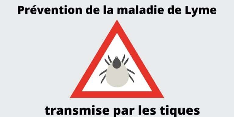 Visuel-Prevention-de-la-maladie-de-Lyme