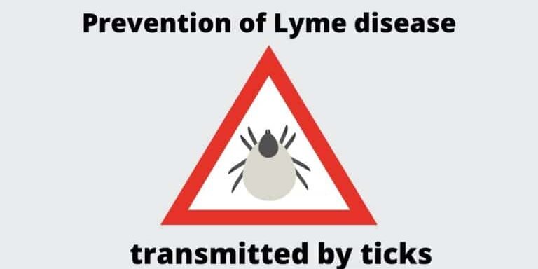 Visuel-Prevention-de-la-maladie-de-Lyme-EN