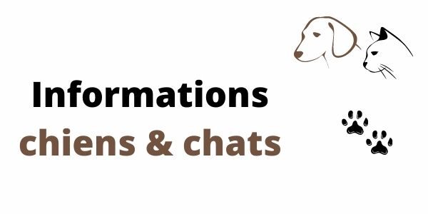 Visuel chiens chats (600 × 300 px) FB -FR